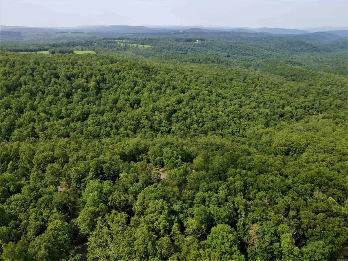 239 Mill Creek Road, Wheeler, AR 72030 - Image #1