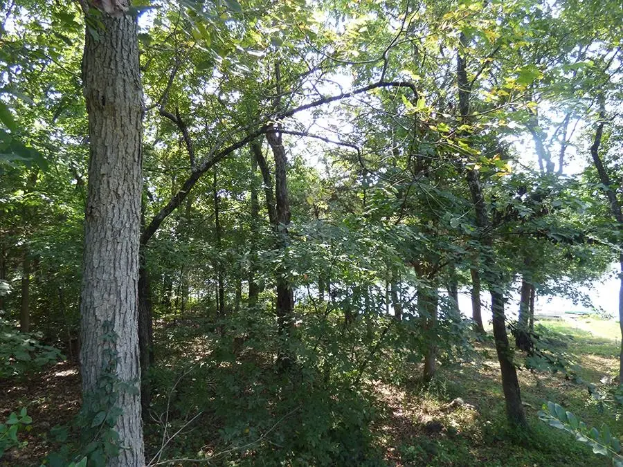 00 E Lakeshore Drive, Cherokee Village, AR 72529 - Image #1