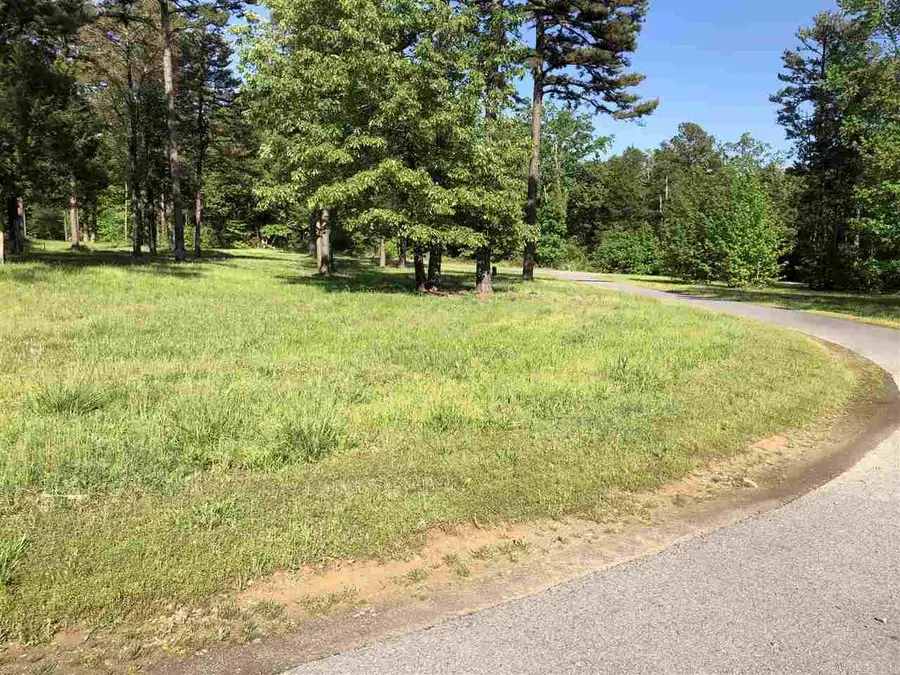 45 South Dr. #53r, Greers Ferry, AR 72067 - Image #2