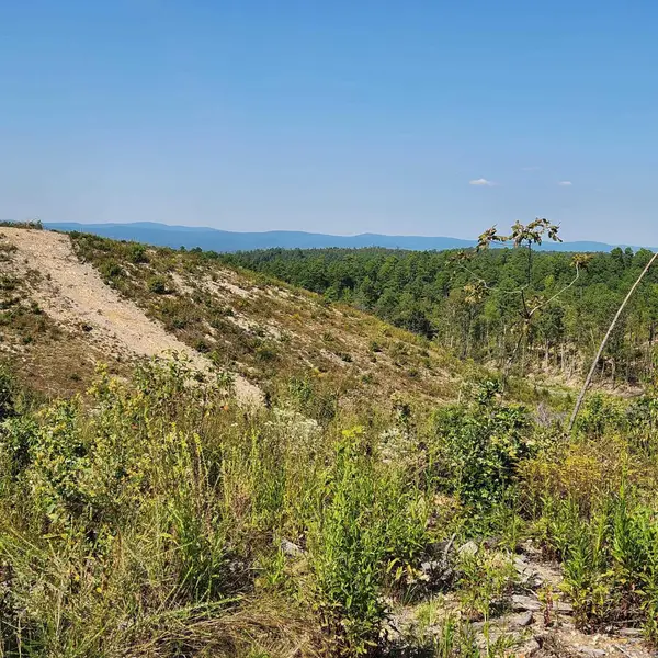 9999 Polk Road 62, Mena, AR 71953