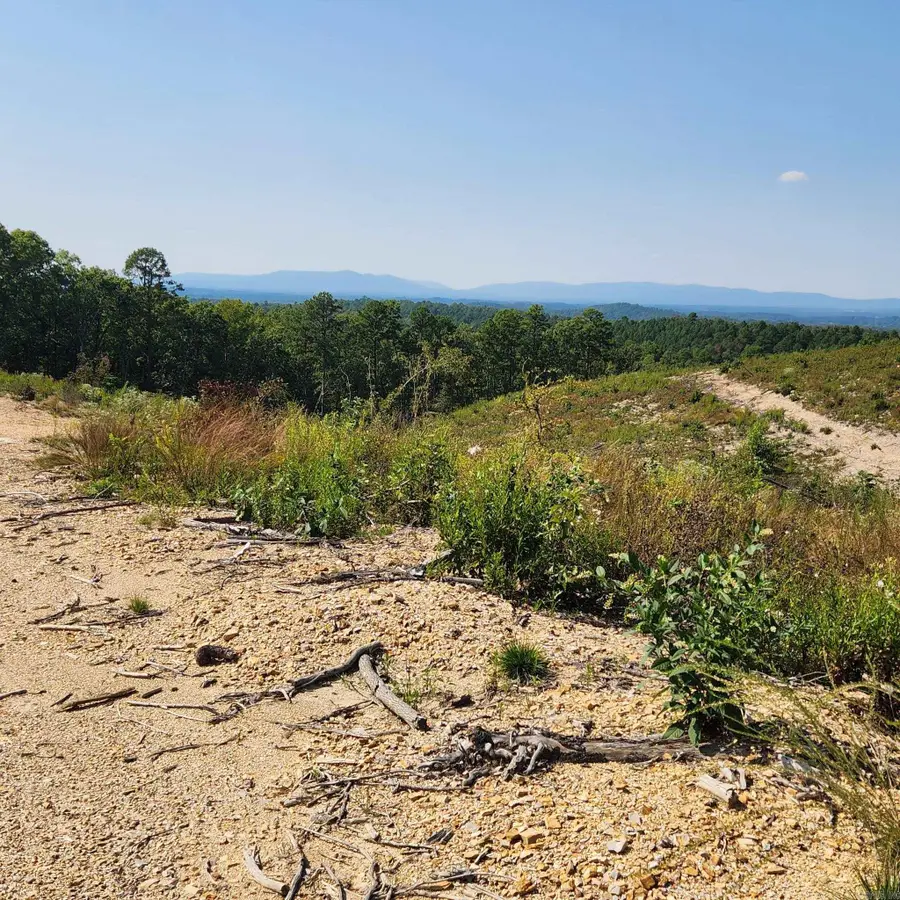 9999 Polk Road 62, Mena, AR 71953 - Image #2