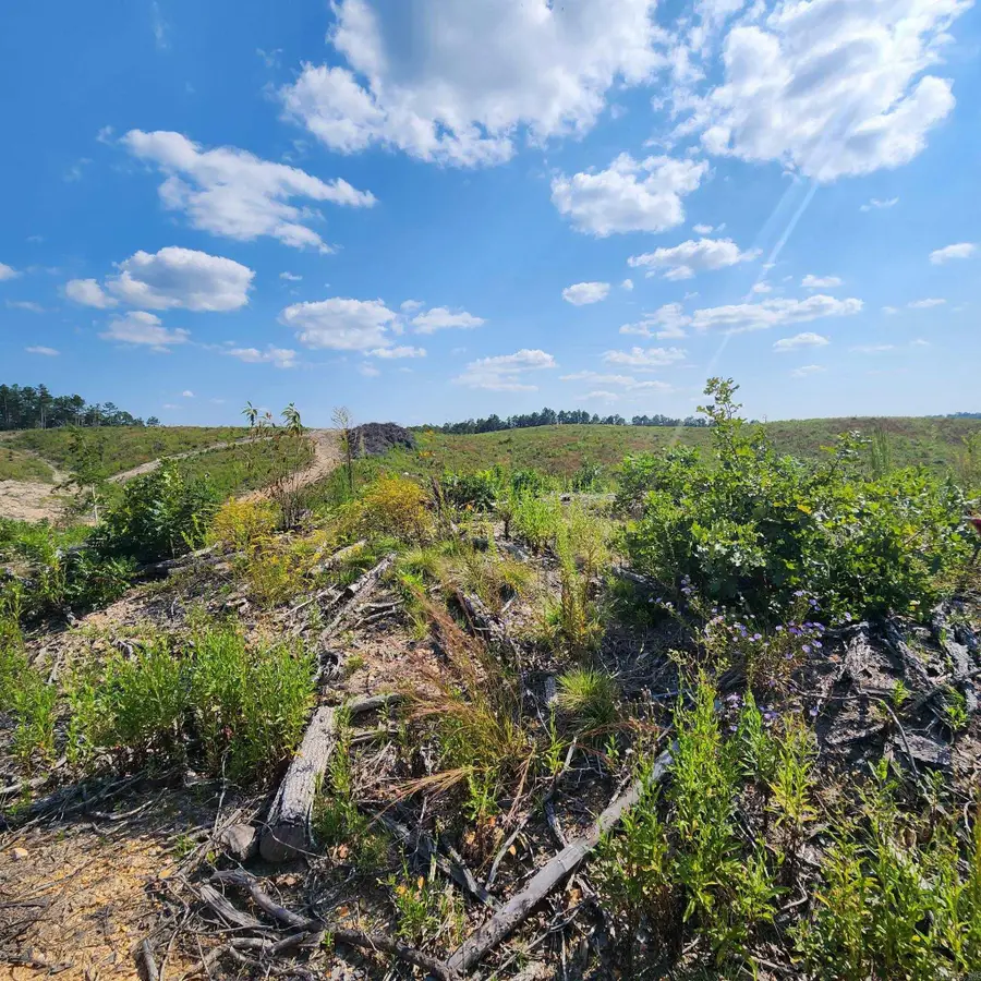 9999 Polk Road 62, Mena, AR 71953 - Image #3