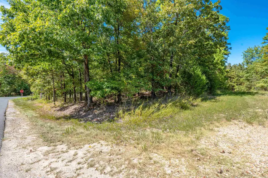 1 Campeon Place, Hot Springs Village, AR 71909 - Image #2