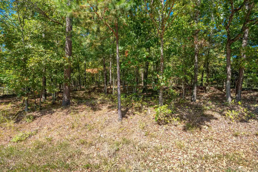 1 Campeon Place, Hot Springs Village, AR 71909 - Image #3