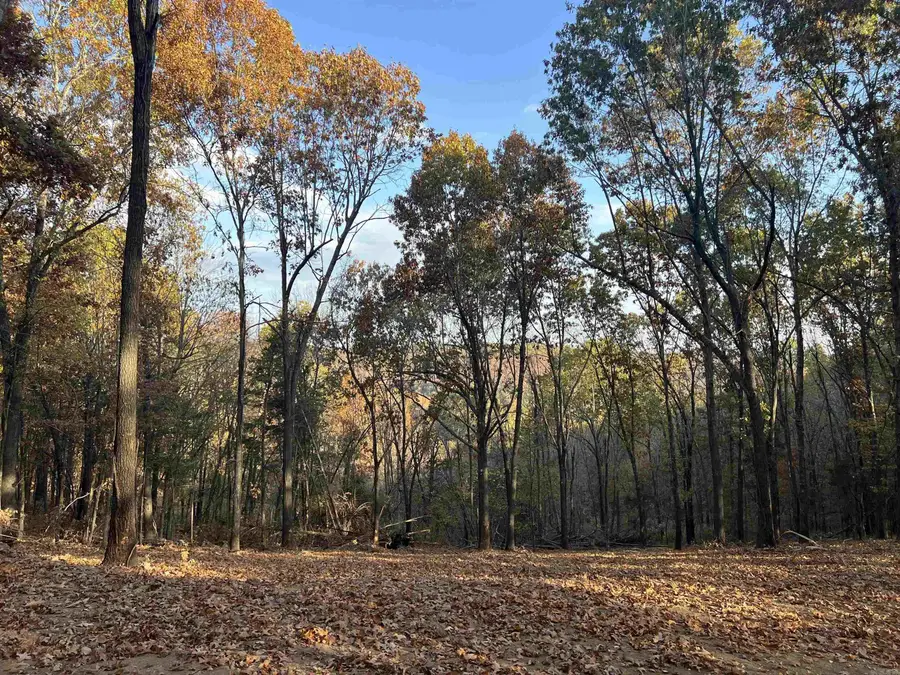 17.03 AC Jackson Ridge, Omaha, AR 72662 - Image #2