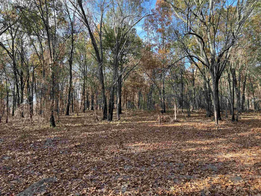 10.61 AC Jackson Ridge, Omaha, AR 72662 - Image #2