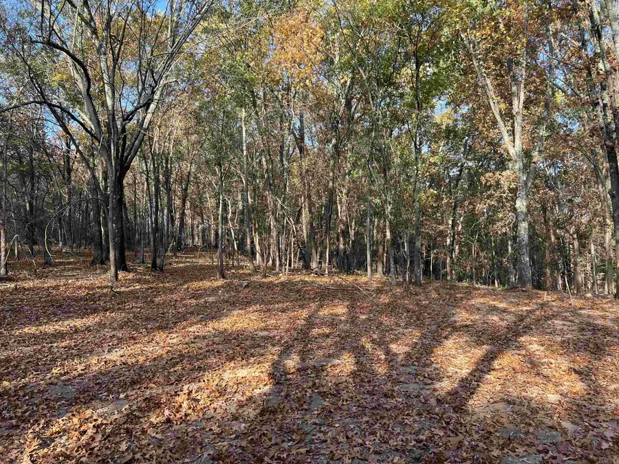 10.61 AC Jackson Ridge, Omaha, AR 72662 - Image #3