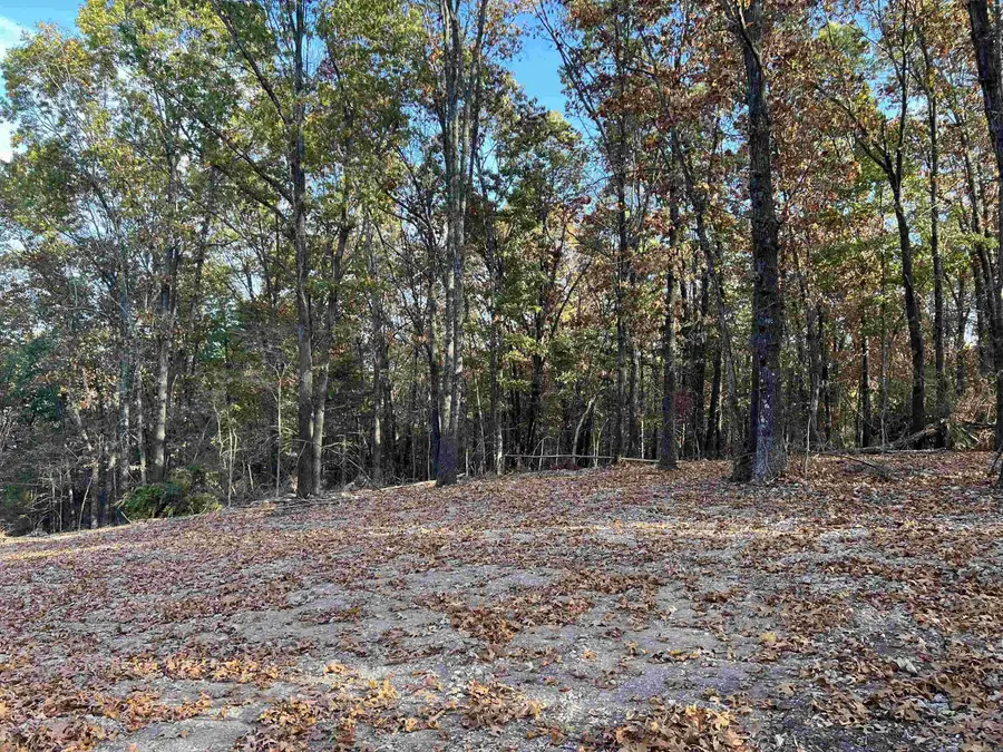 10.51 AC Jackson Ridge, Omaha, AR 72662 - Image #2