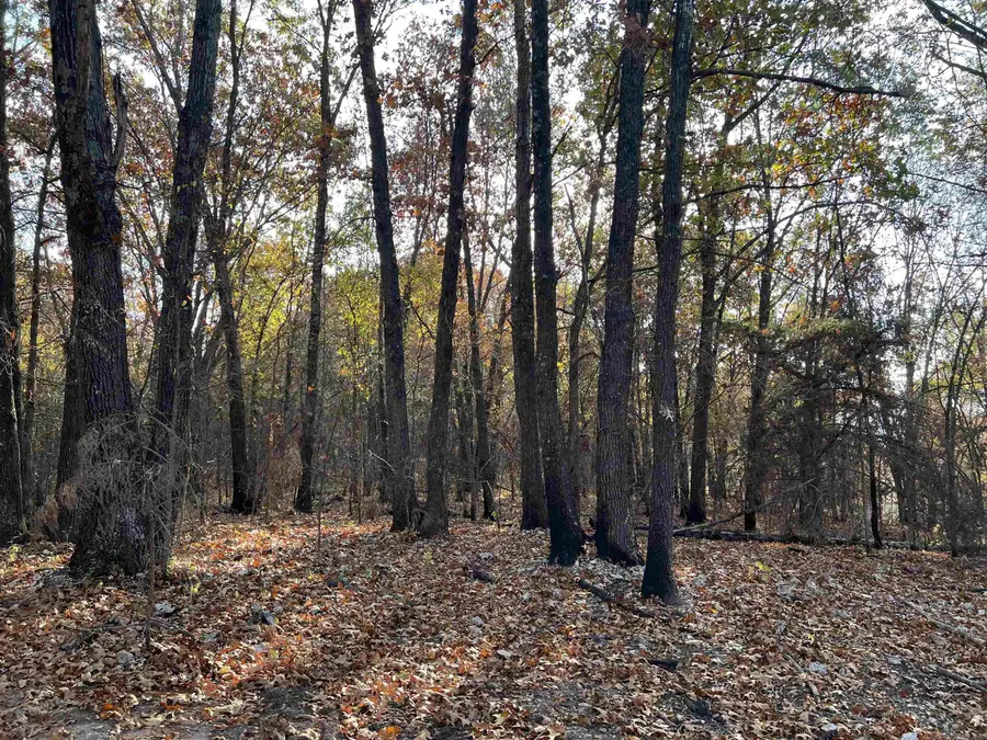 10.51 AC Jackson Ridge, Omaha, AR 72662 - Image #3