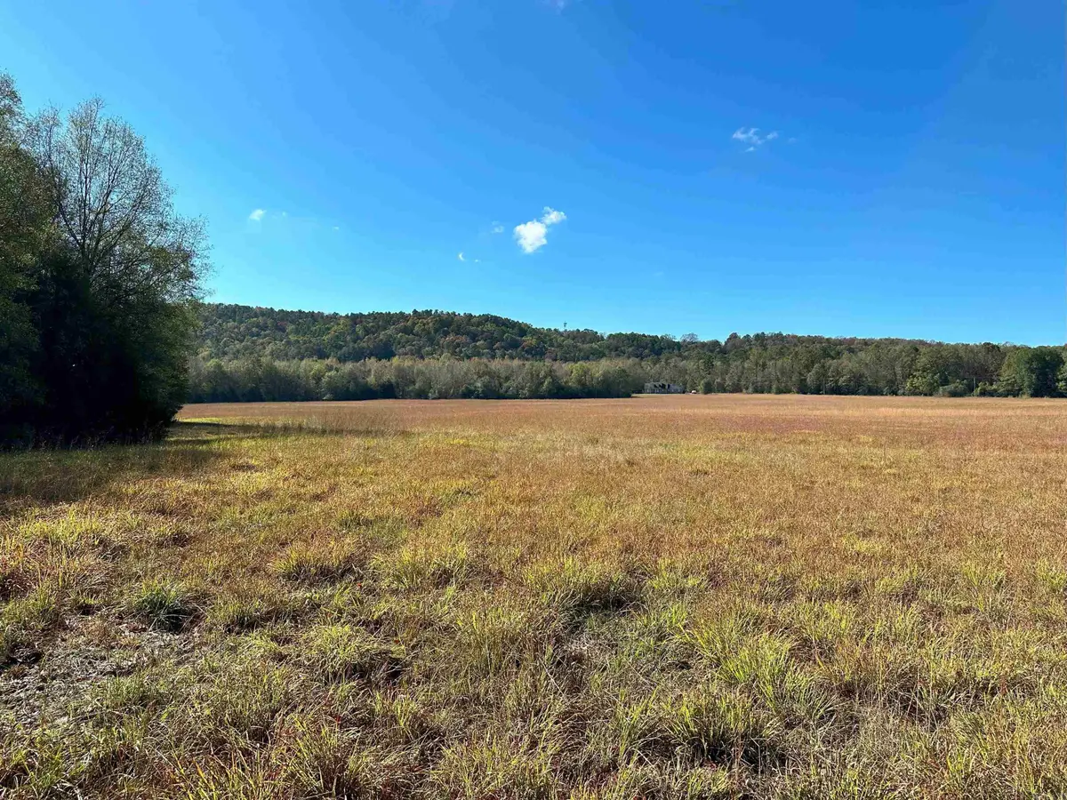 0 Peaceful Valley Road, Dover, AR 72837 - Image #1