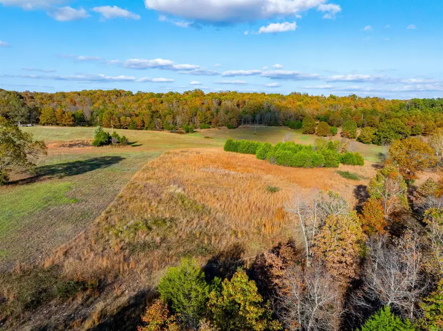 E Maxville Rd, Cave City, AR 72521 - Image #2