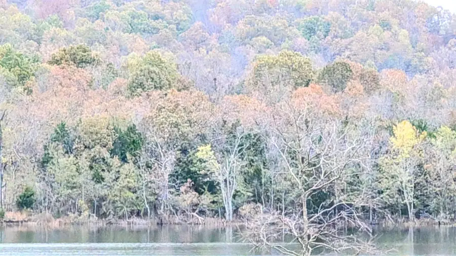 1805 Fox Point, Horseshoe Bend, AR 72512 - Image #3