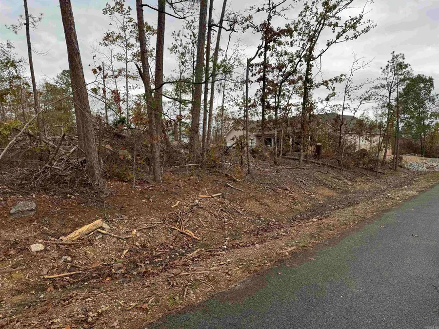 54 Palma Lane, Hot Springs Village, AR 71909 - Image #2