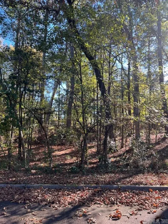 Lot 12 Mockingbird Lane, Camden, AR 71701 - Image #2