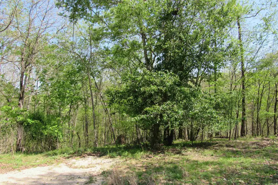 220 Chadwood Street, Hot Springs National Park, AR 71901 - Image #3