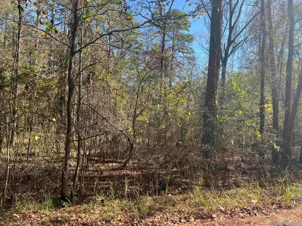 28 Zafiro Way, Hot Springs Village, AR 71909