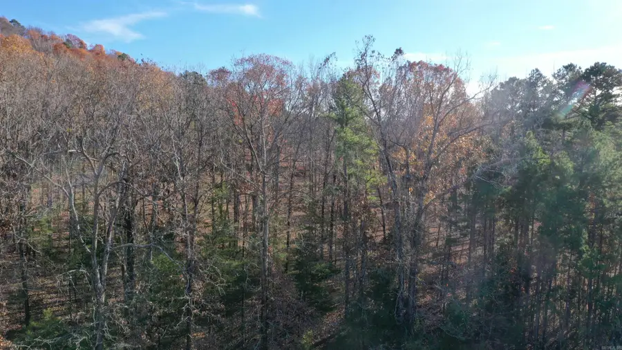 Lot 1 Old Military Rd, Conway, AR 72034 - Image #3