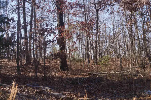 TBD Hwy 63 N, Hardy, AR 72542