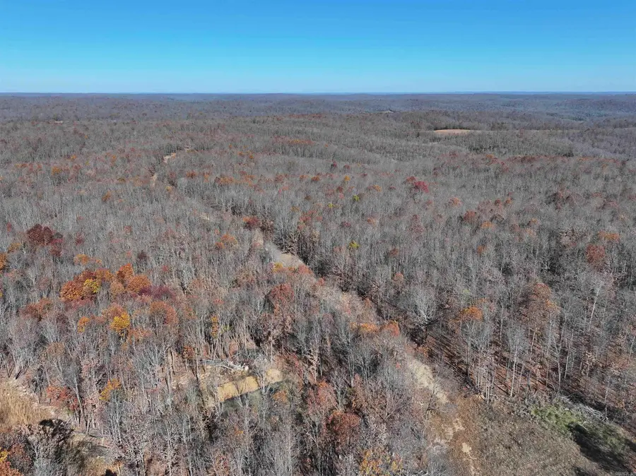 566 Bethany Road, Ravenden Springs, AR 72460 - Image #2