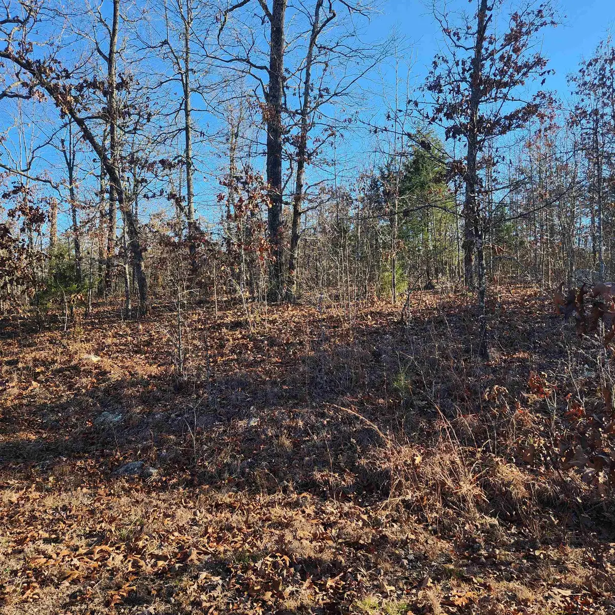 808 W Forest Hills Circle, Horseshoe Bend, AR 72512 - Image #1