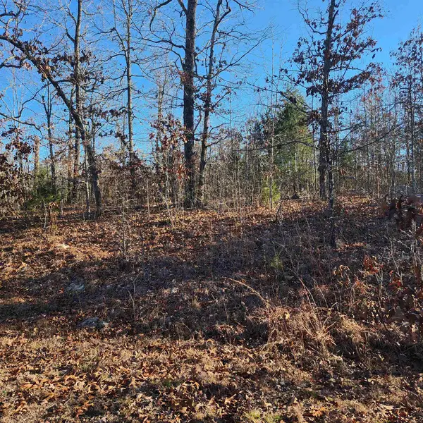 808 W Forest Hills Circle, Horseshoe Bend, AR 72512