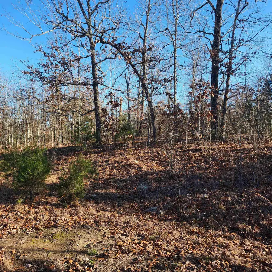 808 W Forest Hills Circle, Horseshoe Bend, AR 72512 - Image #2
