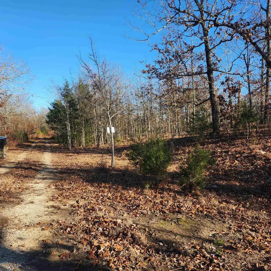 808 W Forest Hills Circle, Horseshoe Bend, AR 72512 - Image #3