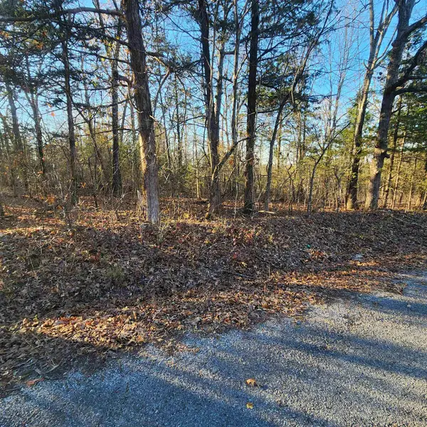 1505 Riverview Drive, Horseshoe Bend, AR 72512