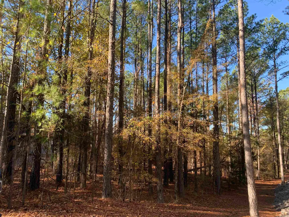 25 Victoria Lane, Hot Springs Village, AR 71909 - Image #1