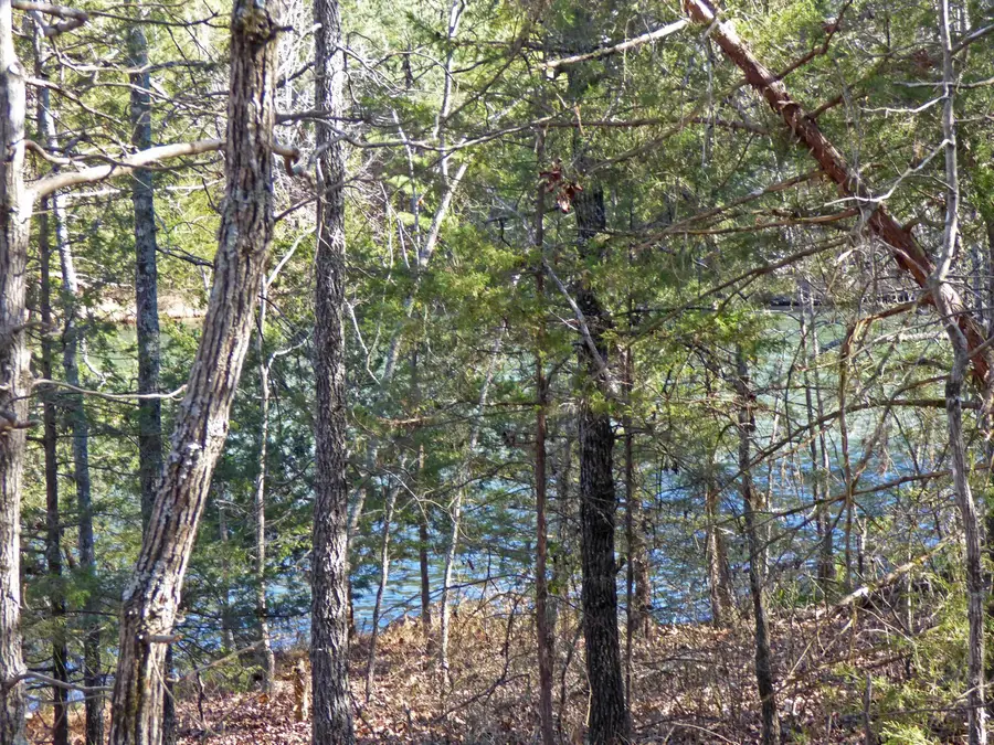 52 Isleta Drive, Cherokee Village, AR 72529 - Image #3