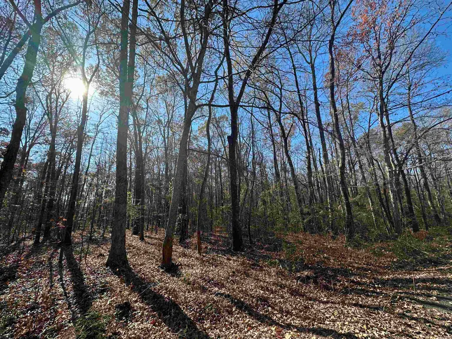 Lot 17 Woodland, Greers Ferry, AR 72067 - Image #3