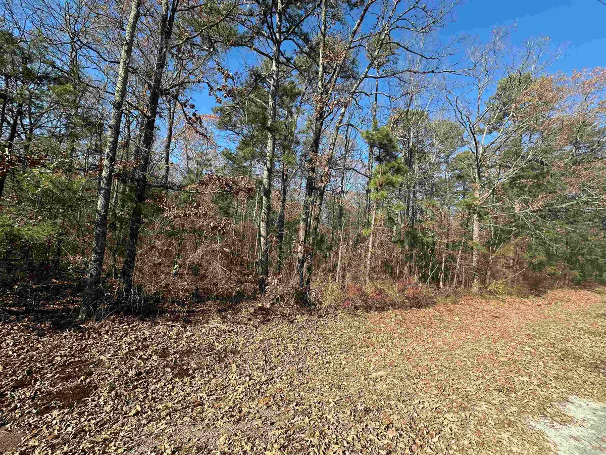 Lot 19 Woodland, Greers Ferry, AR 72067 - Image #1