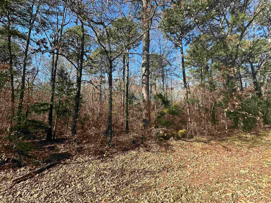 Lot 19 Woodland, Greers Ferry, AR 72067 - Image #3