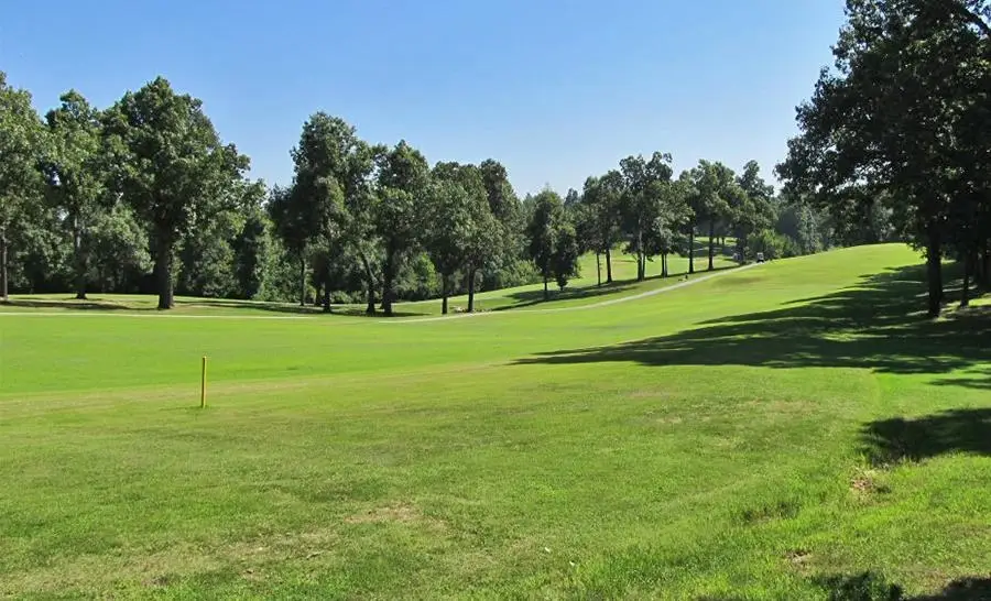 Alamo Trail, Cherokee Village, AR 72529 - Image #2