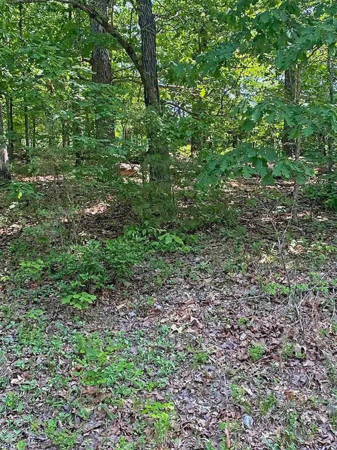 Alamo Trail, Cherokee Village, AR 72529 - Image #3