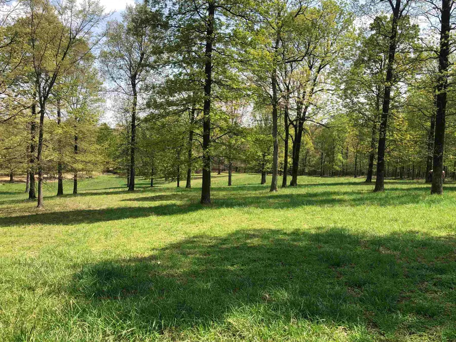 1904 Greene 516 Road, Lafe, AR 72436 - Image #2