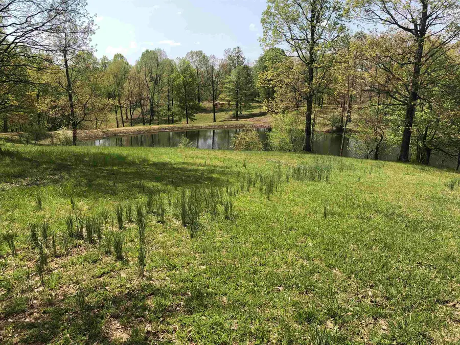 1904 Greene 516 Road, Lafe, AR 72436 - Image #3