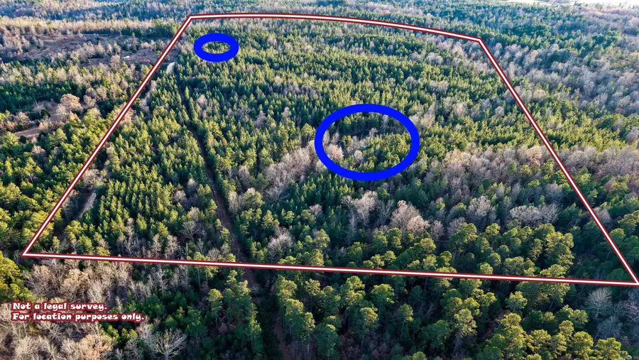 000 Highway 223 South, Bexar, AR 72515 - Image #2