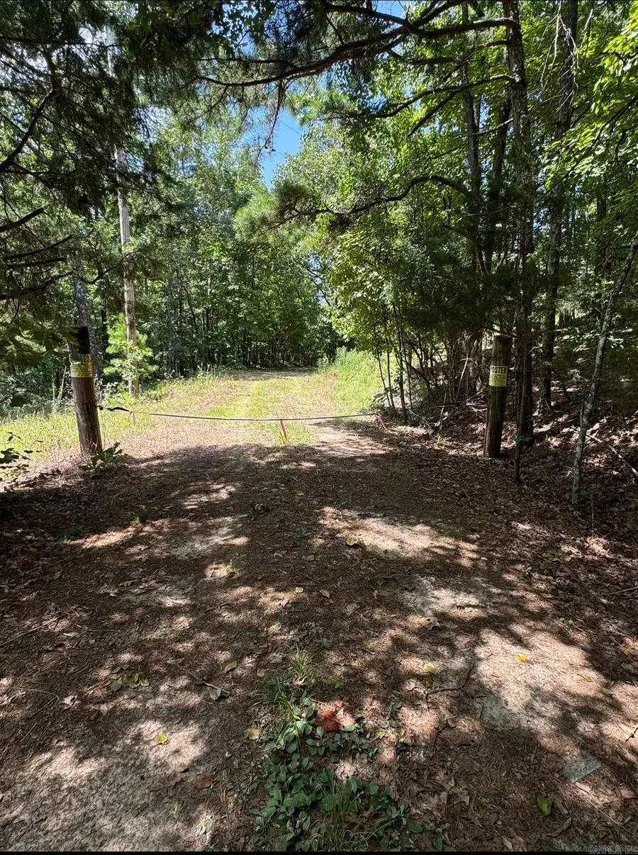 2475 Holly Mountain Rd, Clinton, AR 72036 - Image #2