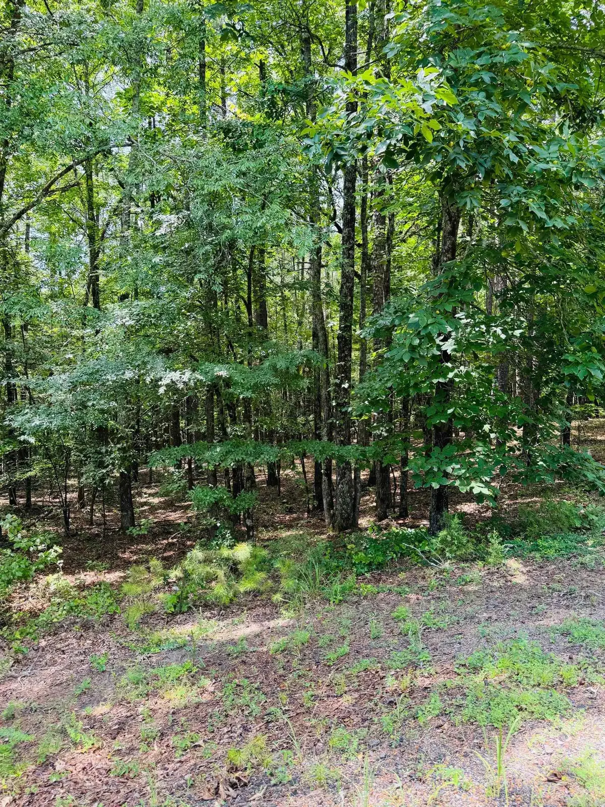 Address Withheld By Seller, Heber Springs, AR 72543 - Image #1