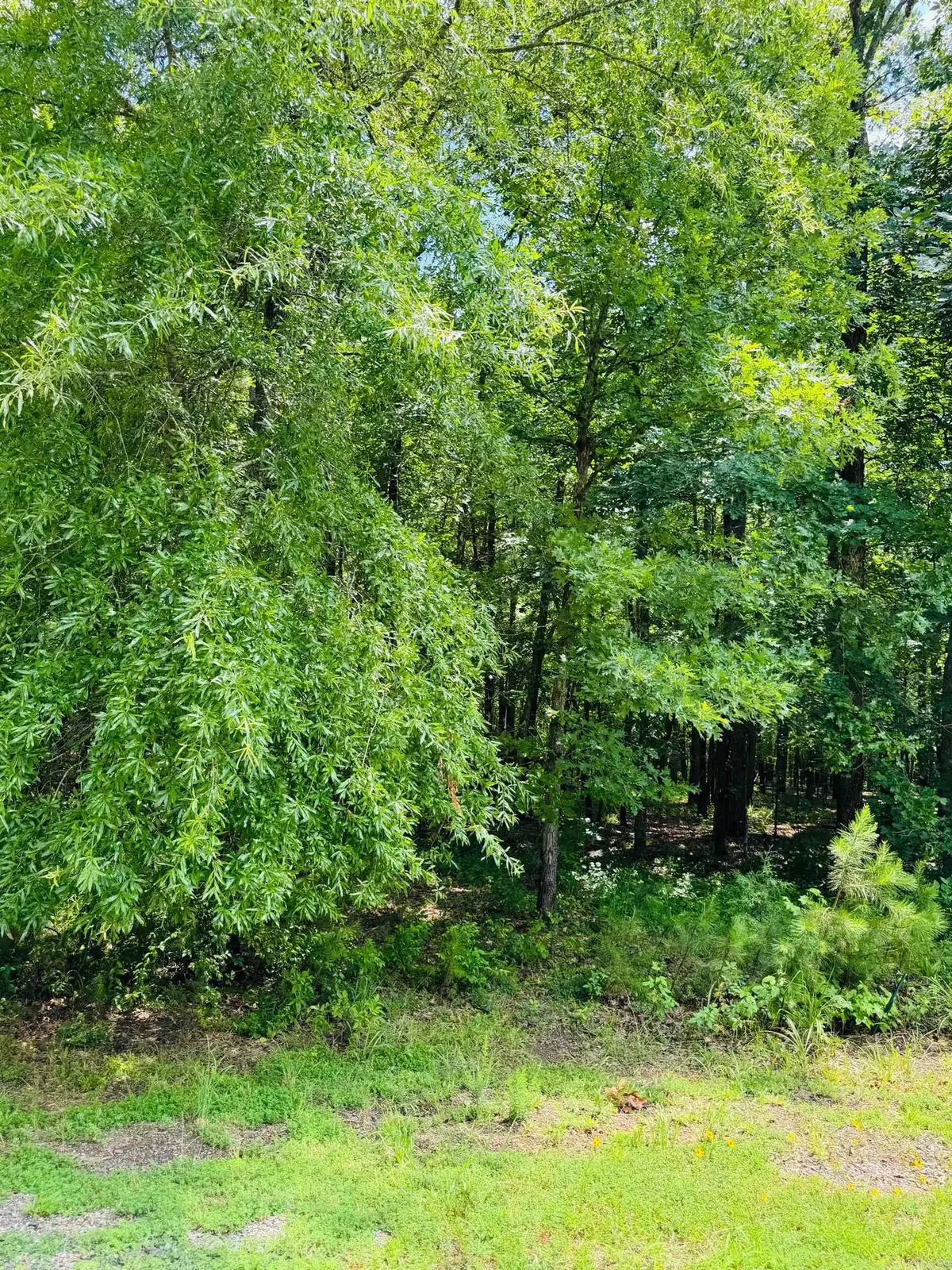 Address Withheld By Seller, Heber Springs, AR 72543 - Image #1