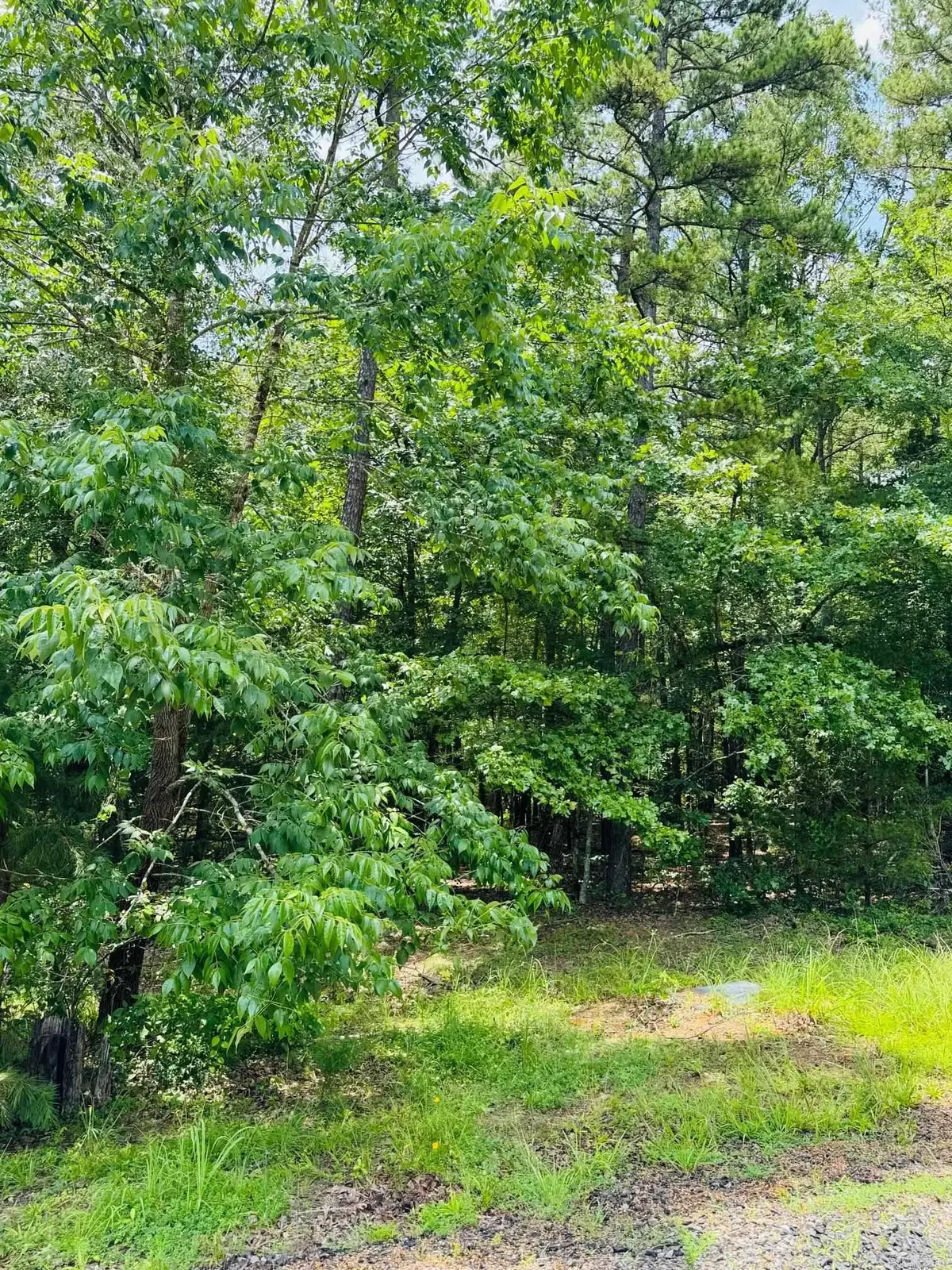 Address Withheld By Seller, Heber Springs, AR 72543 - Image #1