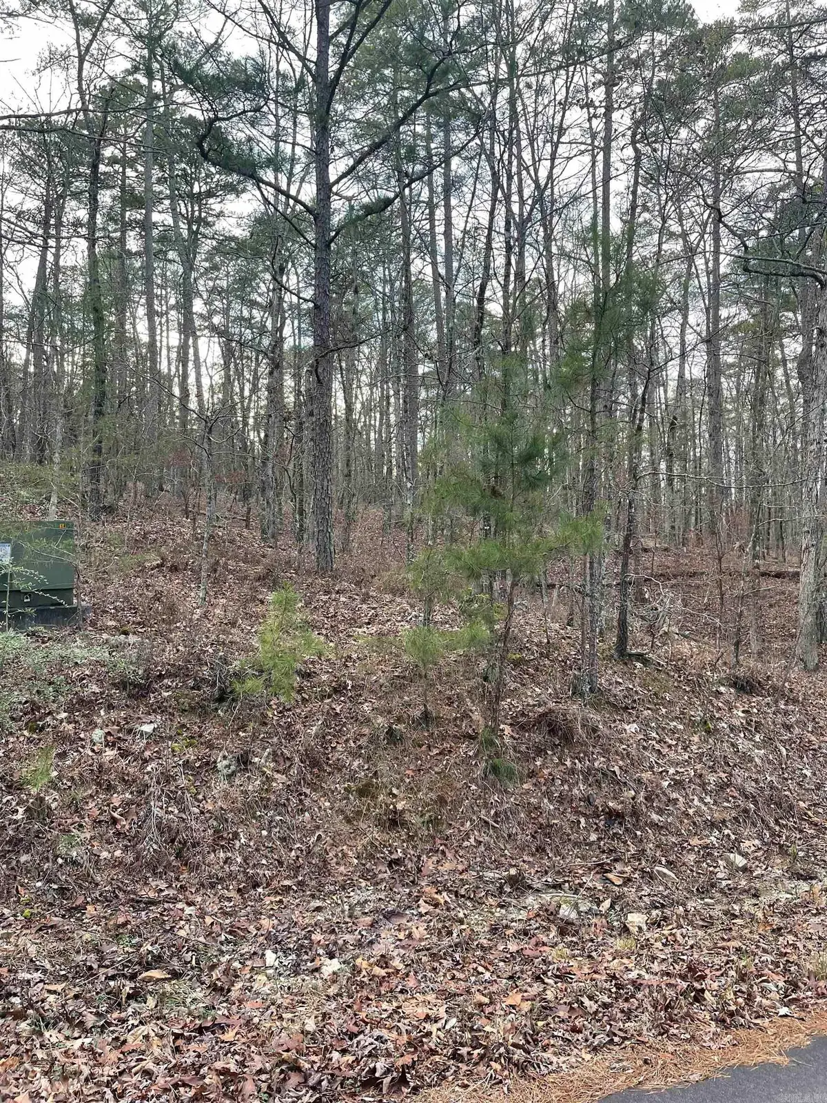 Address Withheld By Seller, Hot Springs Village, AR 71909 - Image #1