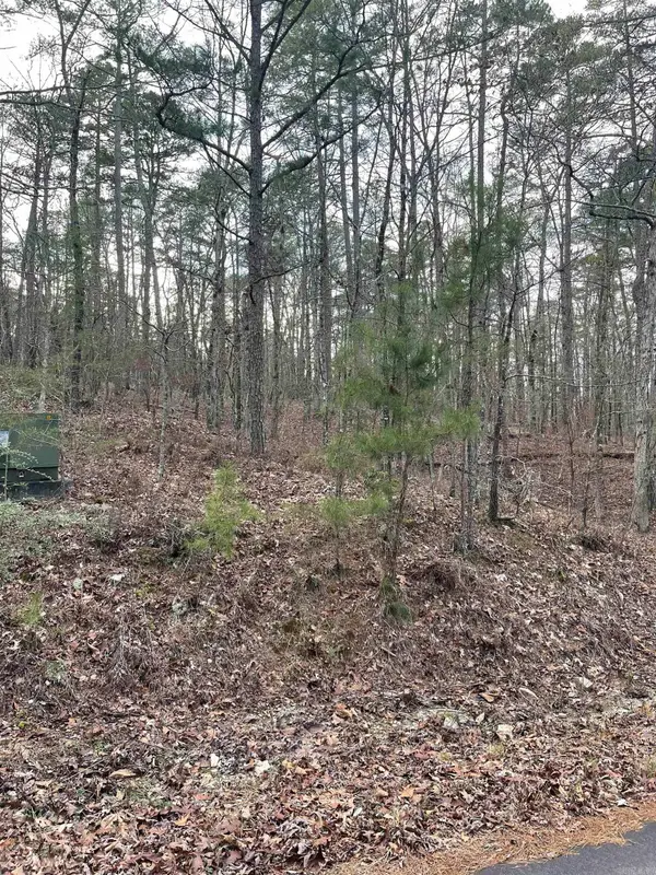 Address Withheld By Seller, Hot Springs Village, AR 71909