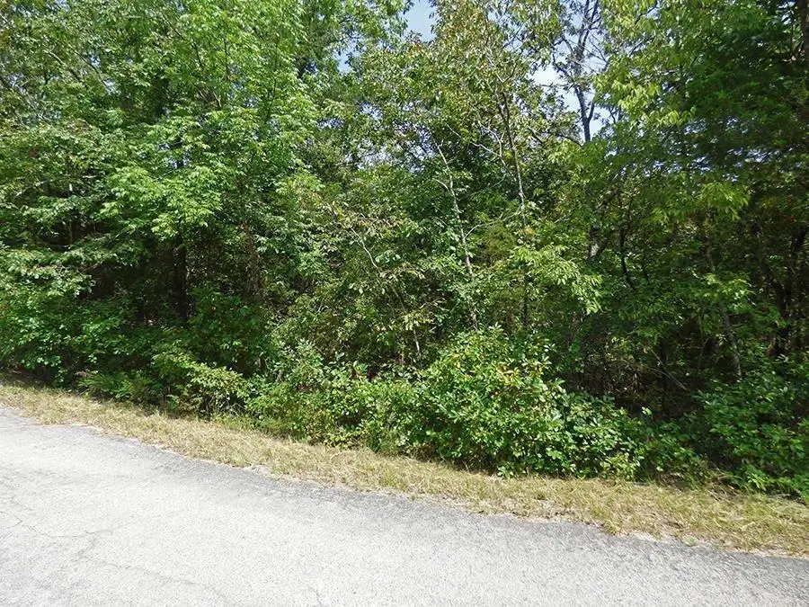 32 & 33 Isleta Drive, Cherokee Village, AR 72529 - Image #3