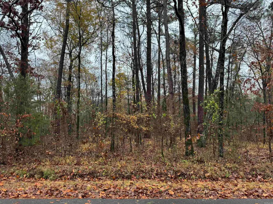 13 Gandesa Way, Hot Springs Village, AR 71909 - Image #2