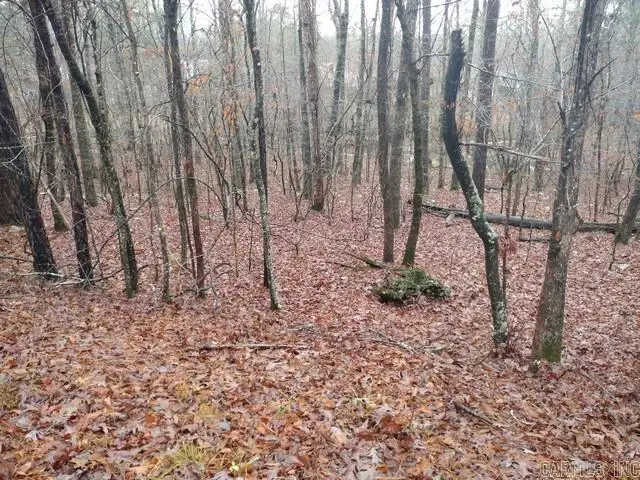 5 Saldana Way, Hot Springs Village, AR 71909 - Image #2