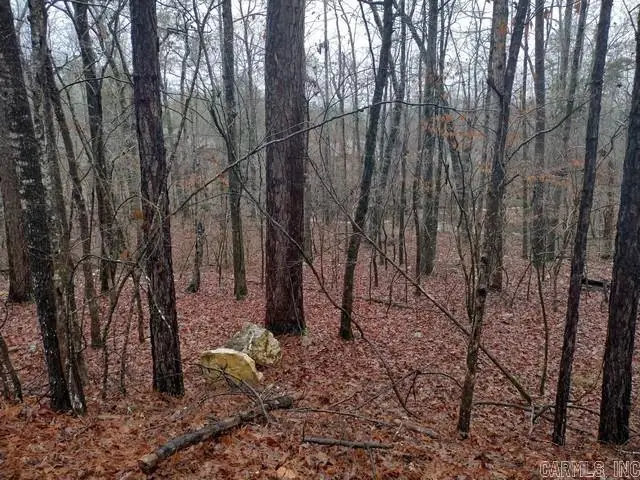 5 Saldana Way, Hot Springs Village, AR 71909 - Image #3