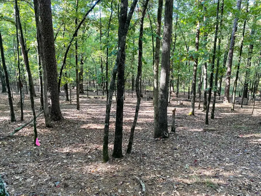 000 Foxridge Road, Little Rock, AR 72223 - Image #2