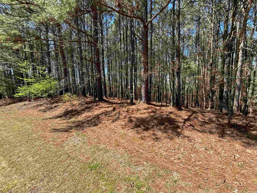 30 Pizarro Drive, Hot Springs Village, AR 71909 - Image #3